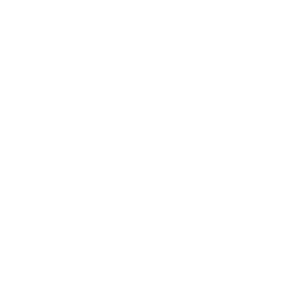 Logo de l'IAE Lille Finance Club : un cygne blanc
